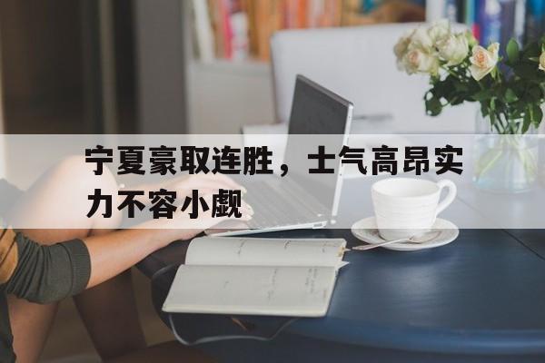 宁夏豪取连胜，士气高昂实力不容小觑