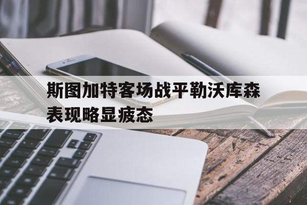 斯图加特客场战平勒沃库森表现略显疲态